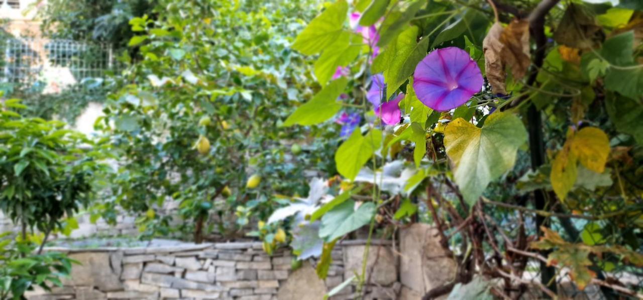 Studio Au Bas Des Cretes En Bas De Villa A La Ciotat Proche De La Mer Et De Marseille Екстер'єр фото